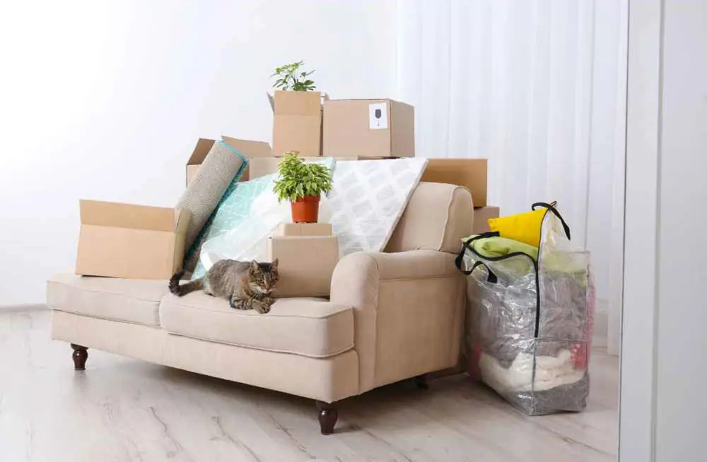 Reliable Removalists Salisbury – Smooth, Stress-Free Moving With Same Day Movers