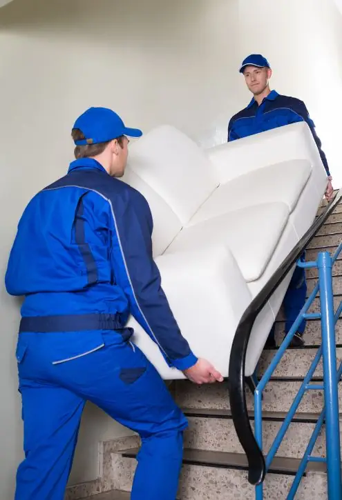 Why Professional Removalists Matter