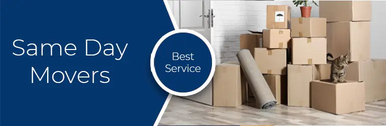 Why Choosing the Right Removalist Matters